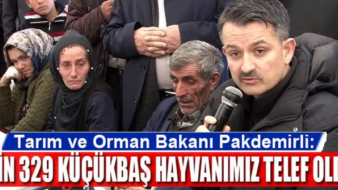 Bakan Pakdemirli: 3 bin 329 küçükbaş hayvanımız telef oldu