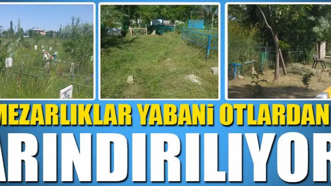 Van'daki mezarlıklar yabani otlardan arındırılıyor 