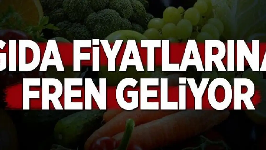 Gıda fiyatlarına fren geliyor 