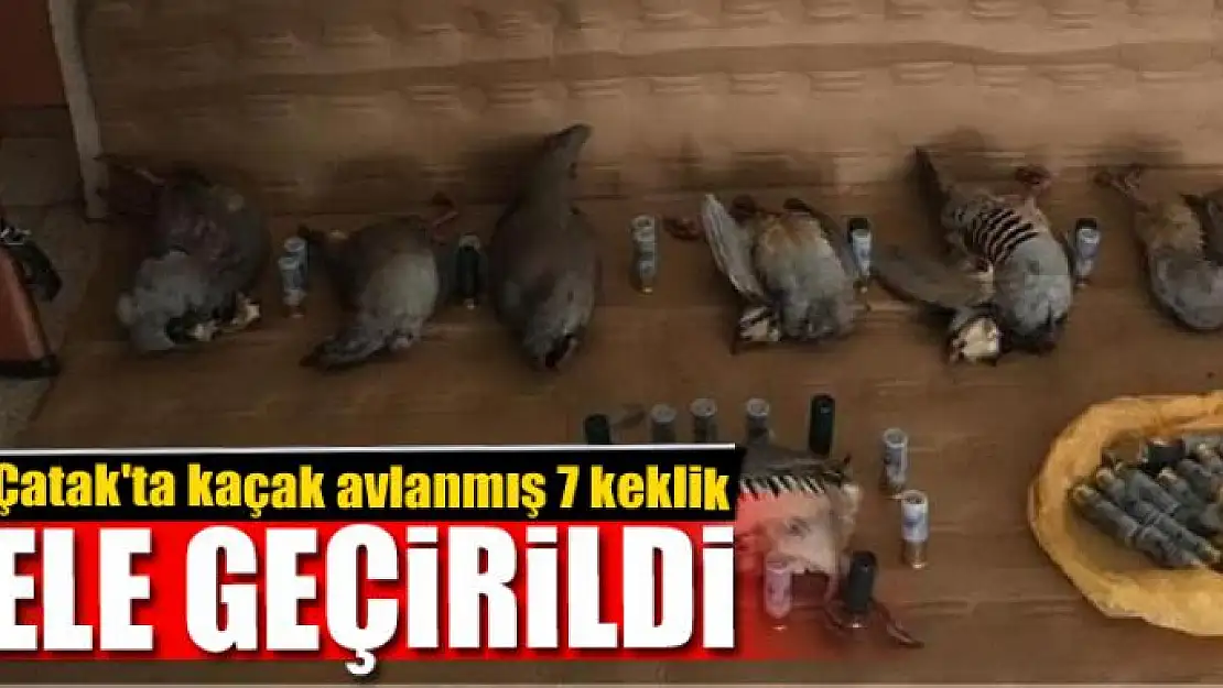 Çatak'ta kaçak avlanmış 7 keklik ele geçirildi