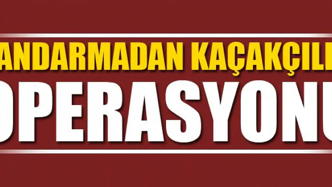 Saray'da 87 kaçak şahıs yakalandı