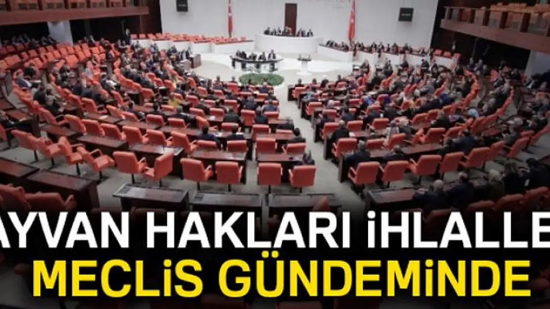 Hayvan hakları ihlalleri Meclis gündemine geliyor