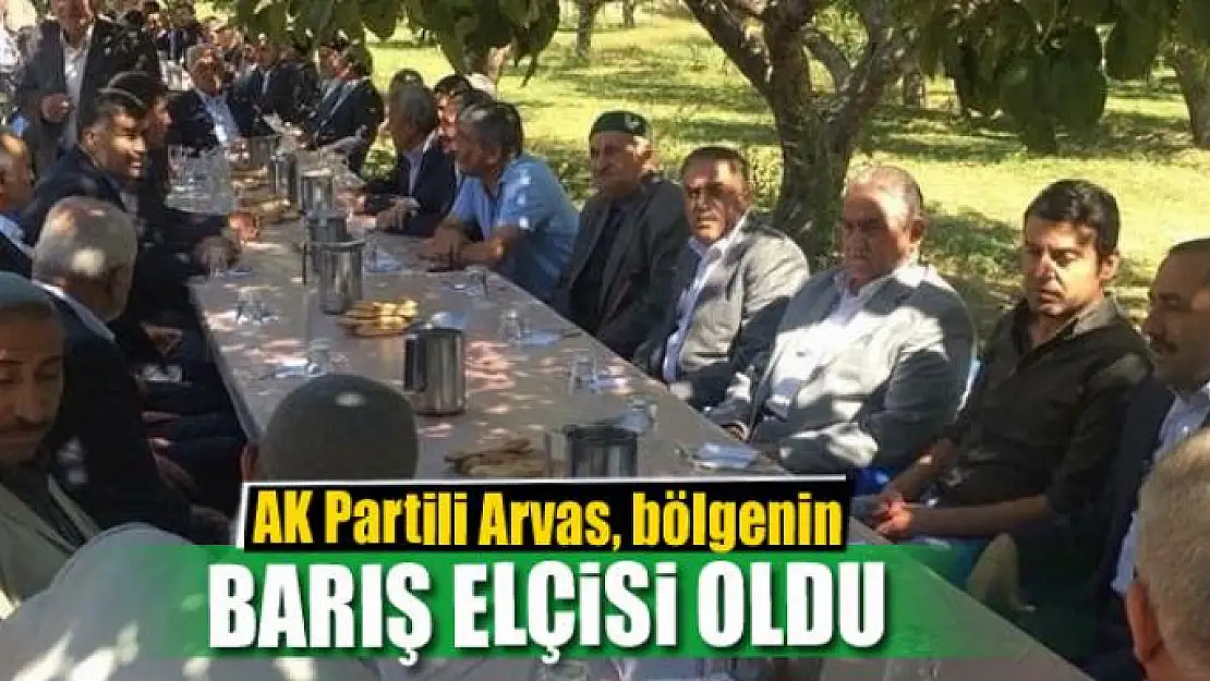 AK Partili Arvas, bölgenin barış elçisi oldu