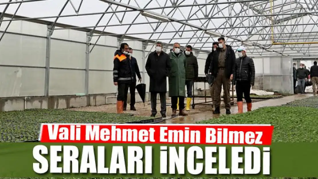 Vali Mehmet Emin Bilmez seralarda incelemelerde bulundu