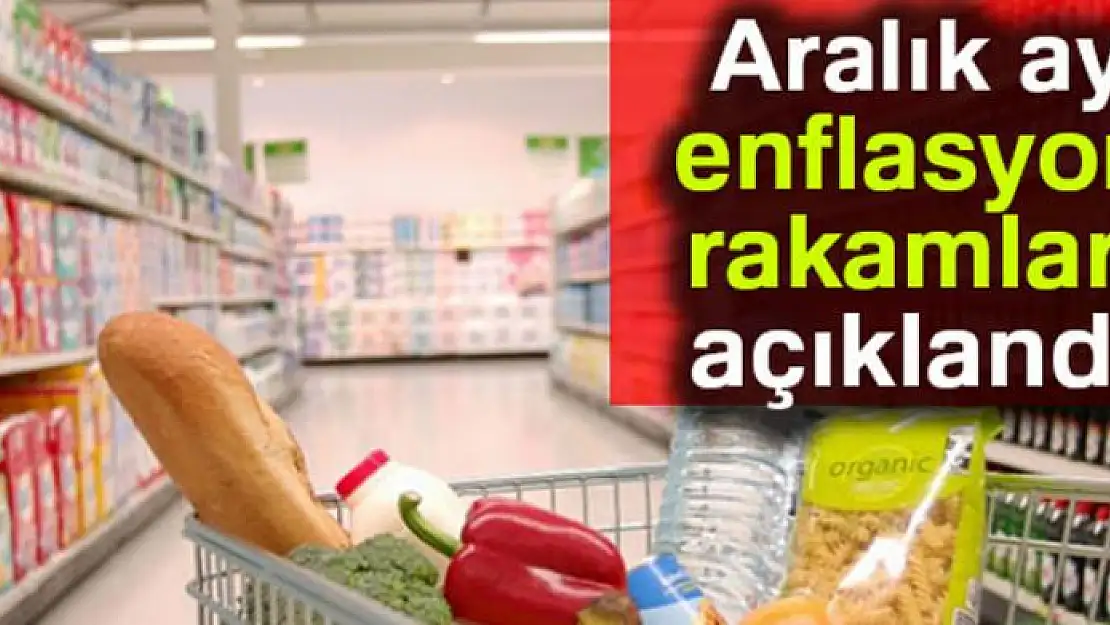 Aralık ayı enflasyonu açıklandı