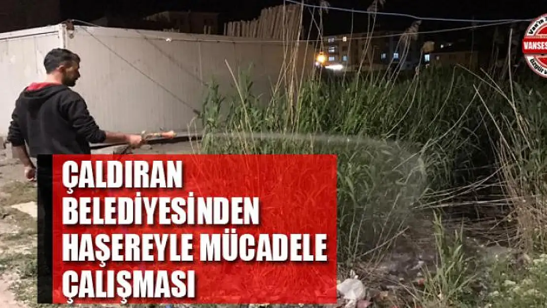 Çaldıran Belediyesinden haşereyle mücadele çalışması