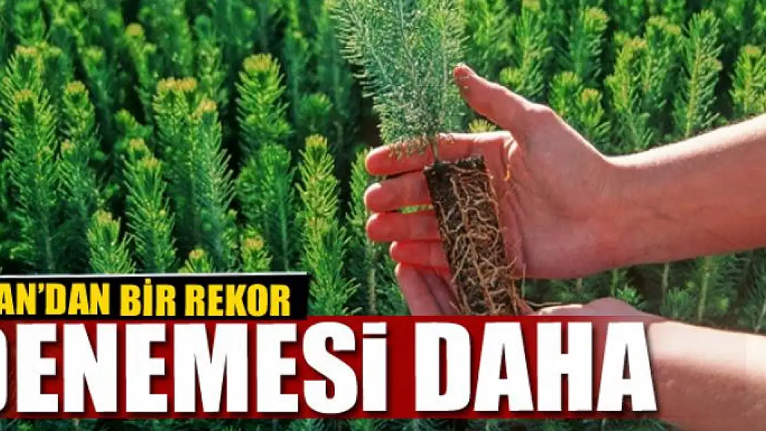 VAN'DAN BİR REKOR DENEMESİ DAHA