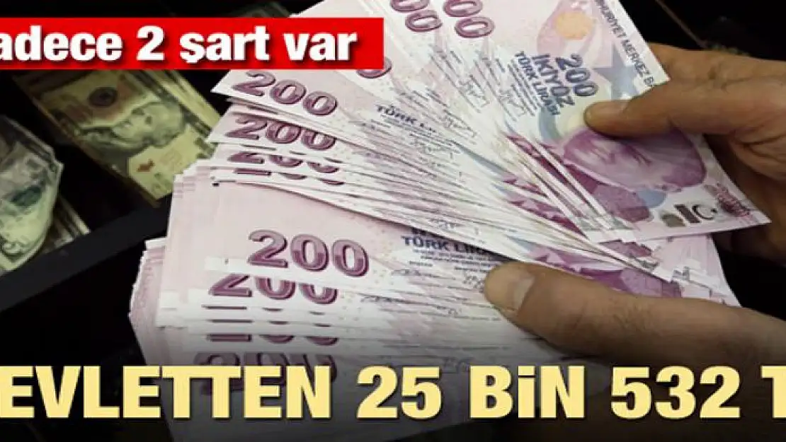 Devletten 25 bin 532 lira