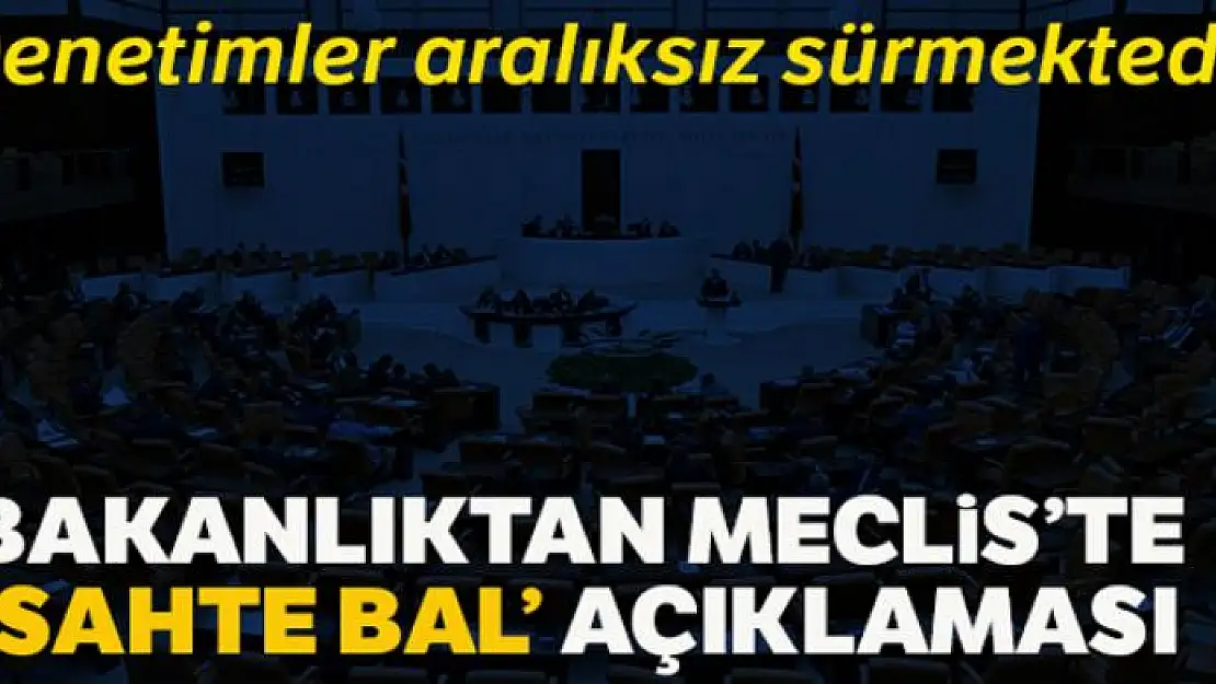 Tarım ve Orman Bakanlığından Meclis'te 'sahte bal' açıklaması