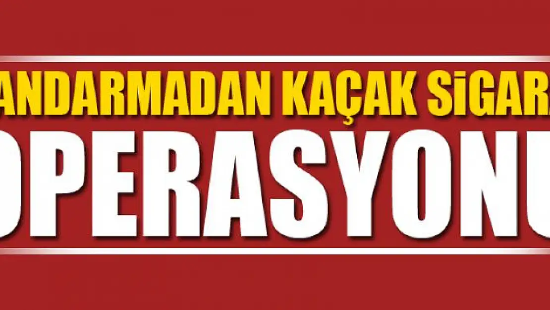 Jandarmadan kaçak sigara operasyonu