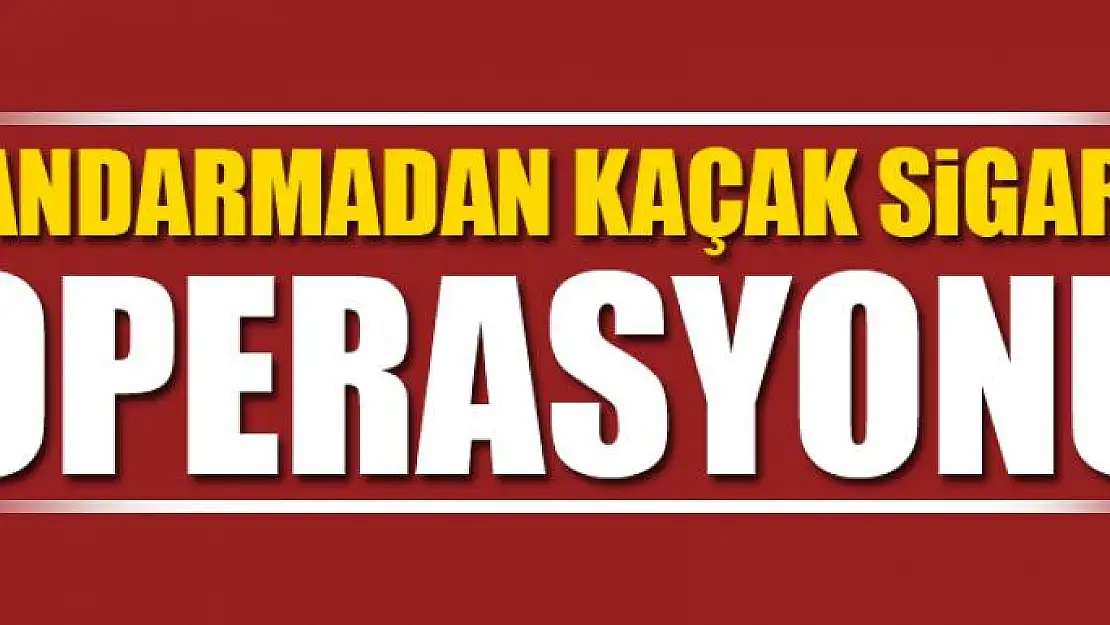 Jandarmadan kaçak sigara operasyonu