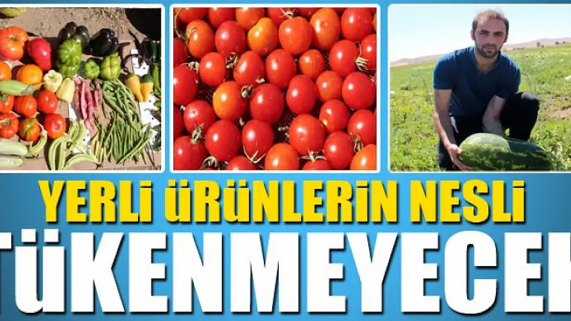 YERLİ ÜRÜNLERİN NESLİ TÜKENMEYECEK