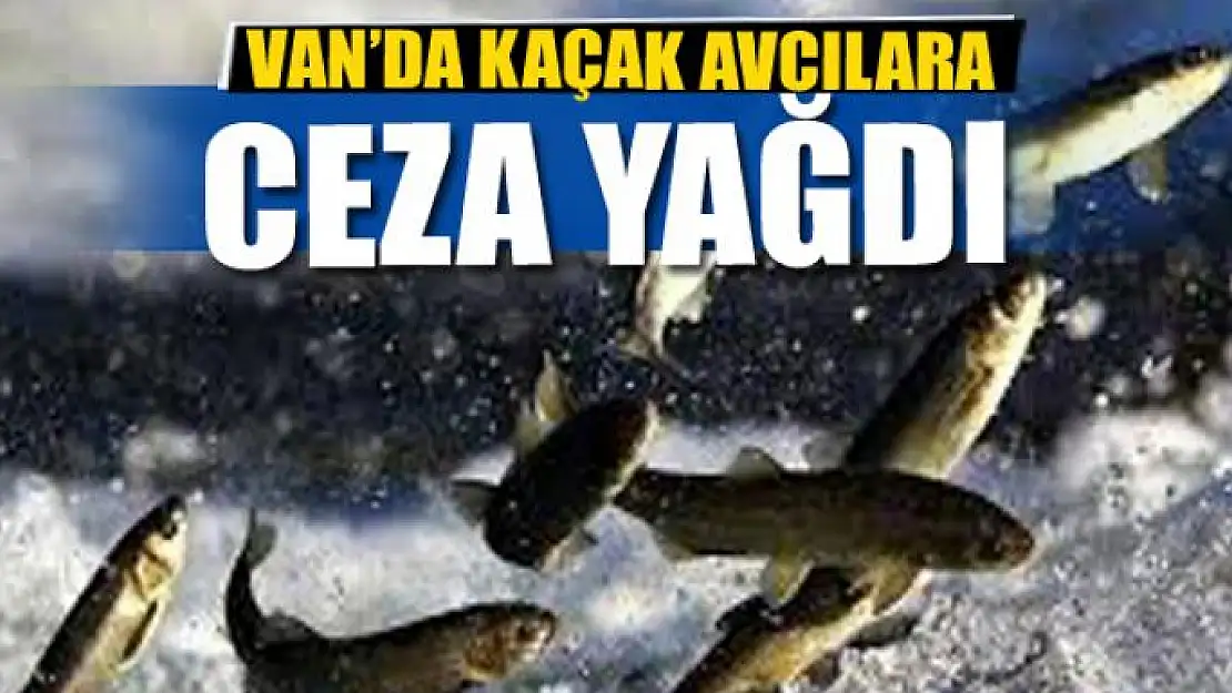 VAN'DA KAÇAK AVCILARA CEZA YAĞDI