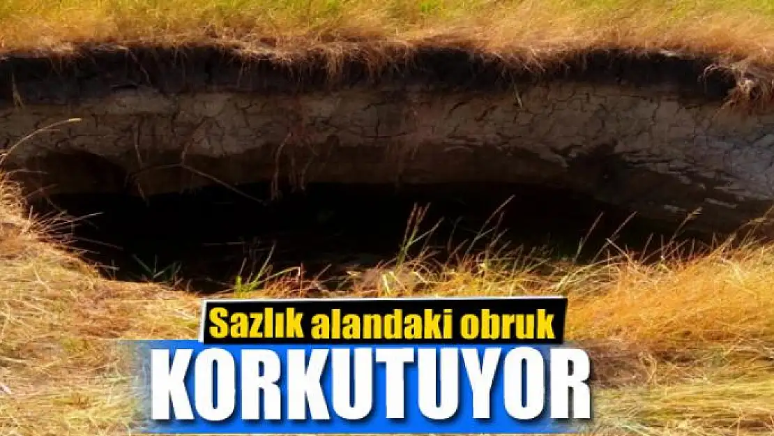 Sazlık alandaki obruk korkutuyor 