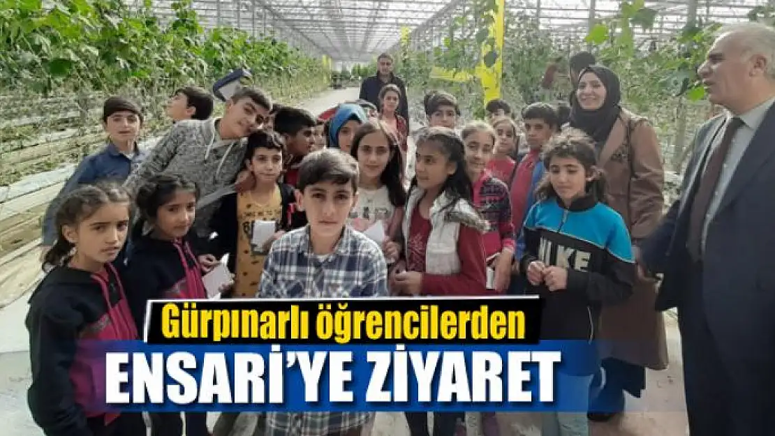 Gürpınarlı öğrencilerden Başkan Ensari'ye ziyaret