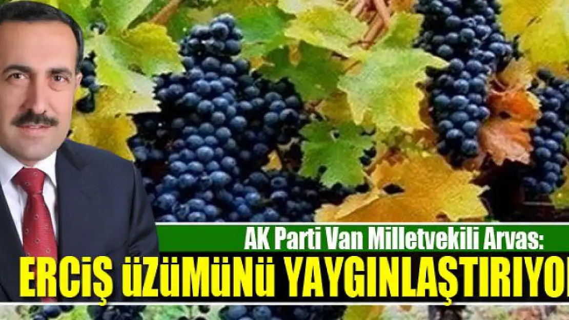 Milletvekili Arvas: 'Tarımsal ve kültürel değeri olan Erciş üzümünü yaygınlaştırıyoruz'