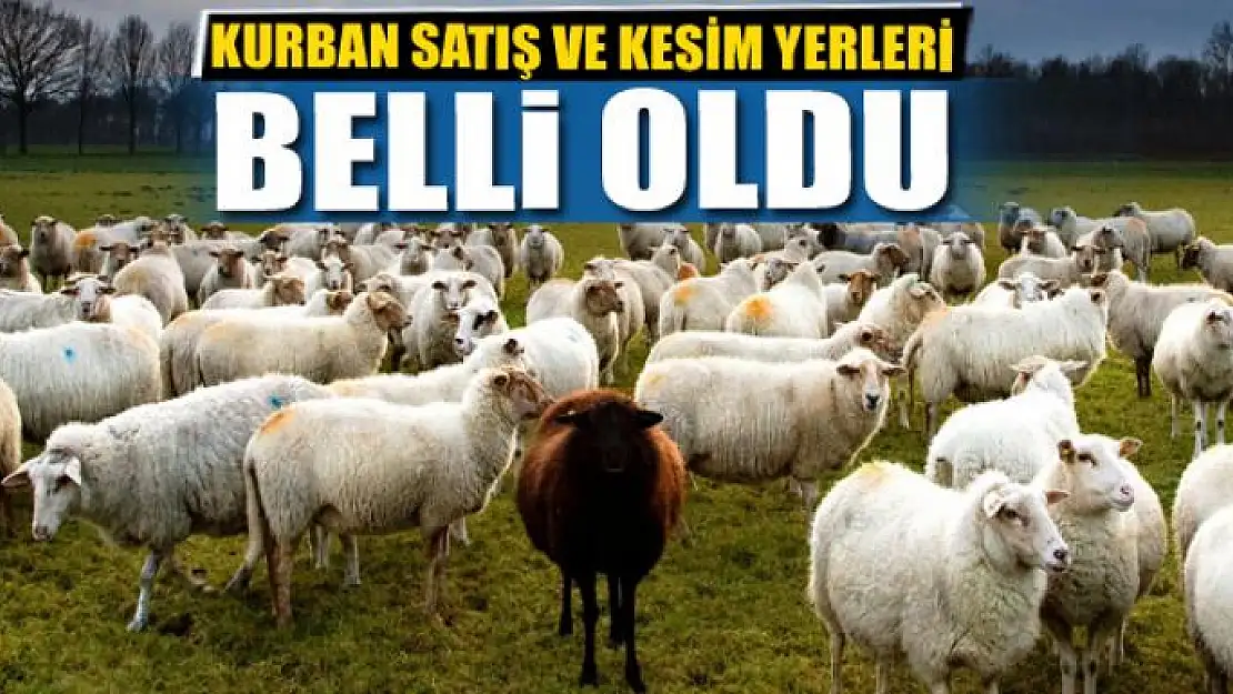 KURBAN SATIŞ VE KESİM YERLERİ BELLİ OLDU