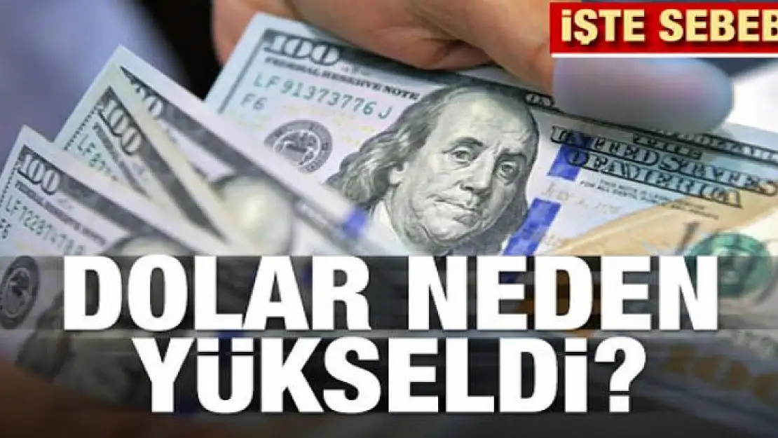 Dolar neden yükseldi? İşte yanıtı...