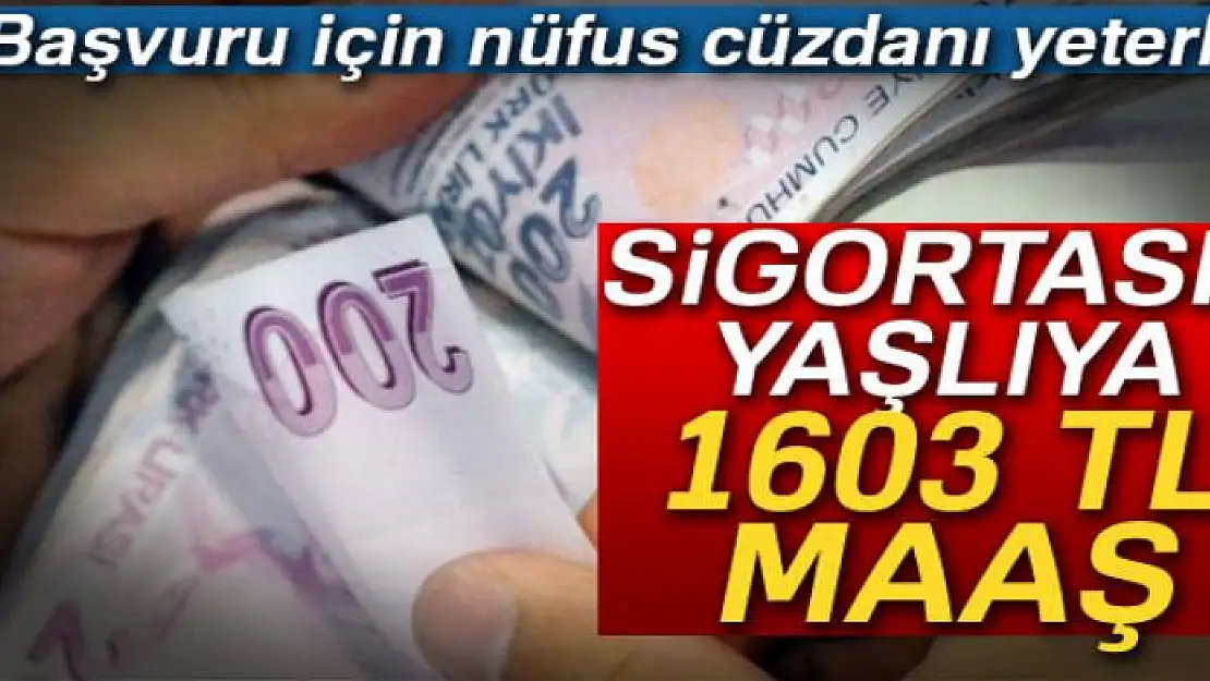 Sigortasız yaşlılara 1603 TL maaş