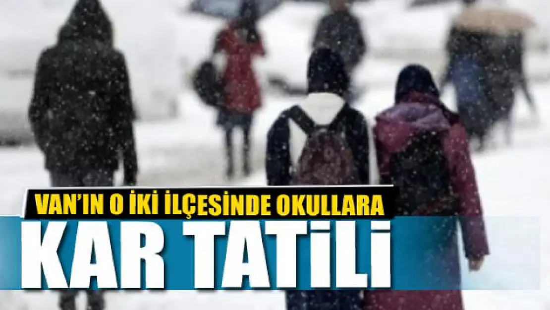 Van'ın o iki ilçesinde okullara kar tatili