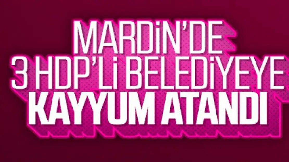 Mardin'de 3 HDP'li Belediyeye kayyum atandı