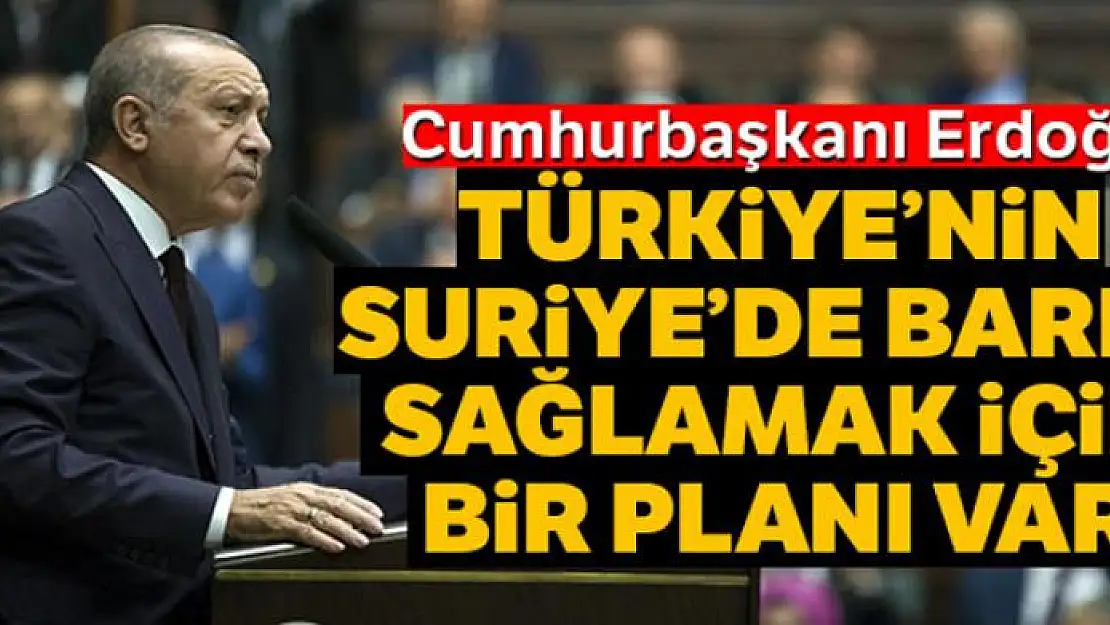 Cumhurbaşkanı Erdoğan: 'Türkiye'nin Suriye'de barışı sağlamak için bir planı var'