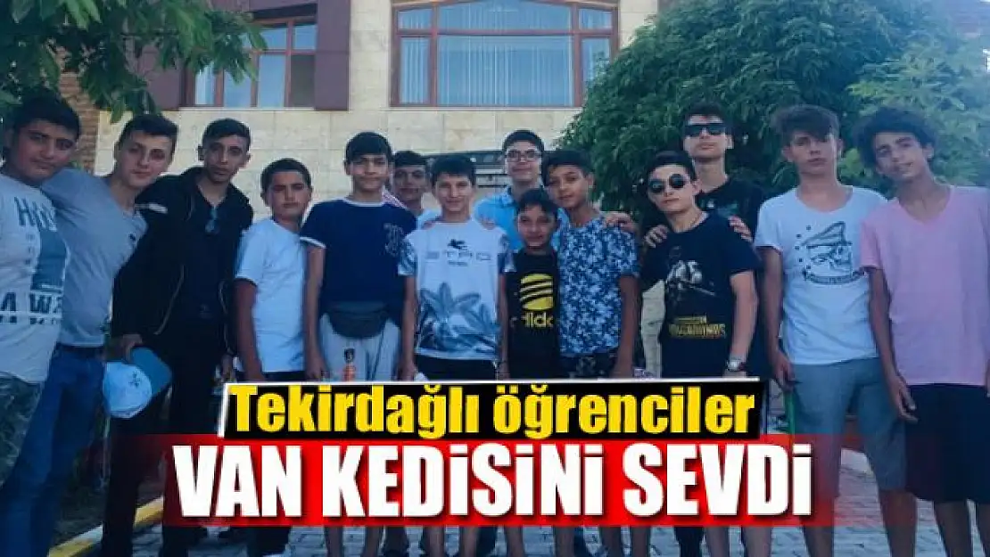 Tekirdağlı öğrenciler Van kedisini sevdi