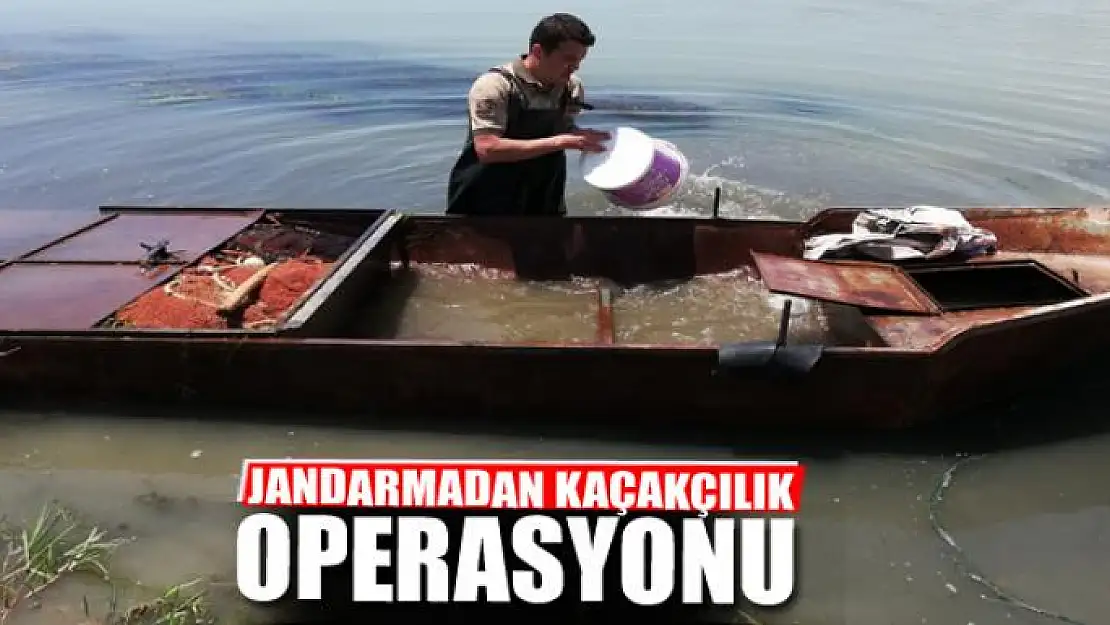 Jandarmadan kaçakçılık operasyonu 