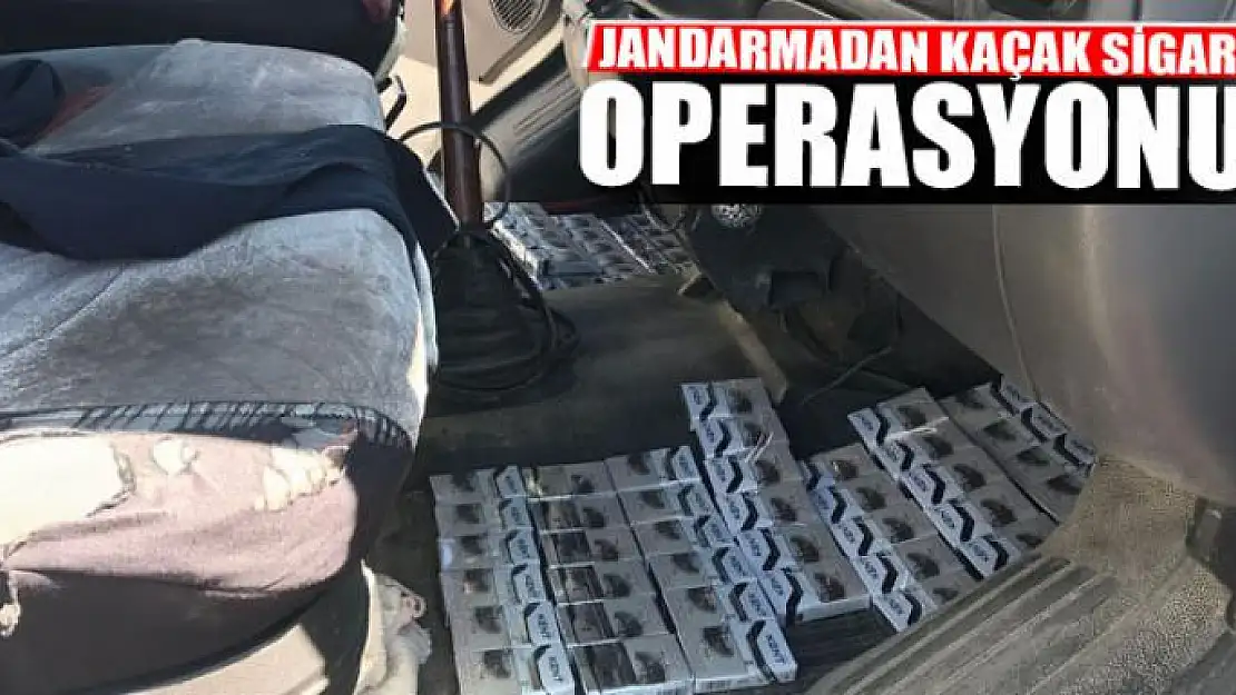 Jandarmadan kaçak sigara operasyonu