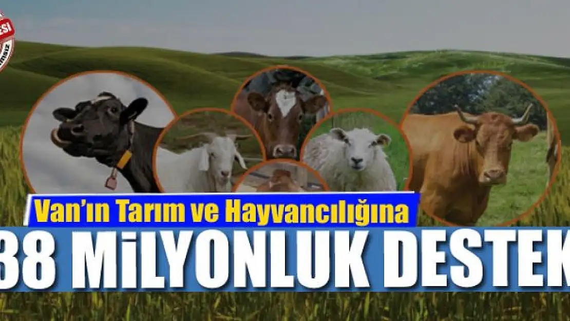 Tarım ve Hayvancılığa 38 milyonluk destek 