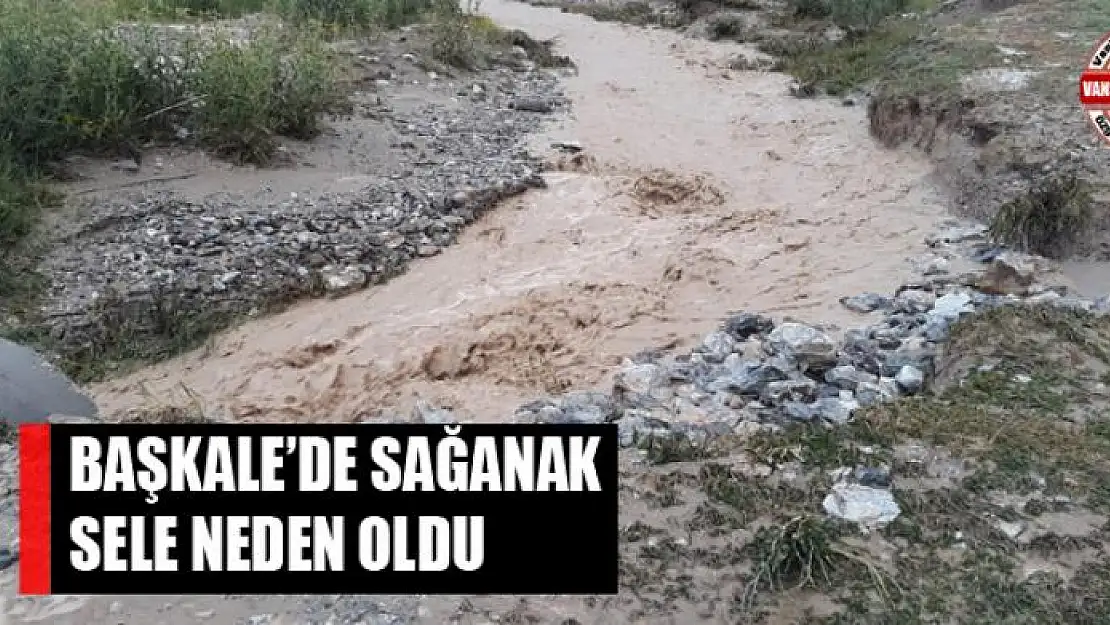 Başkale'de sağanak sele neden oldu