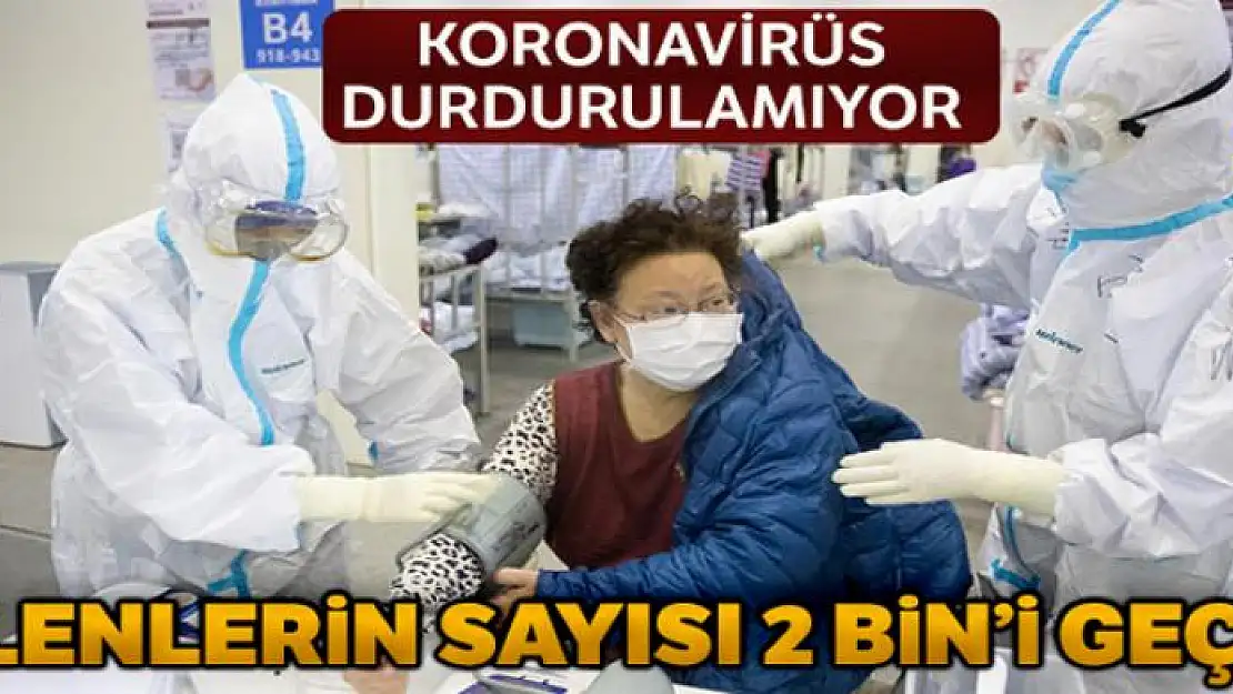 Çin'de salgından ölenlerin sayısı 2 bini geçti