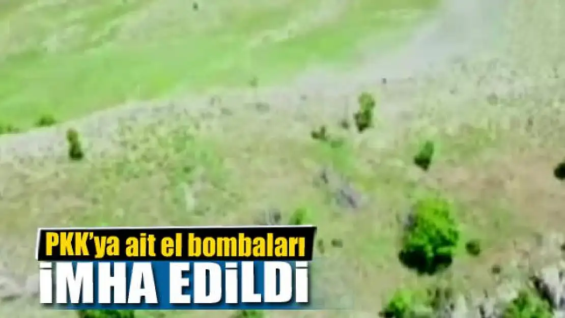 Çatak kırsalında PKK'ya ait el bombaları imha edildi