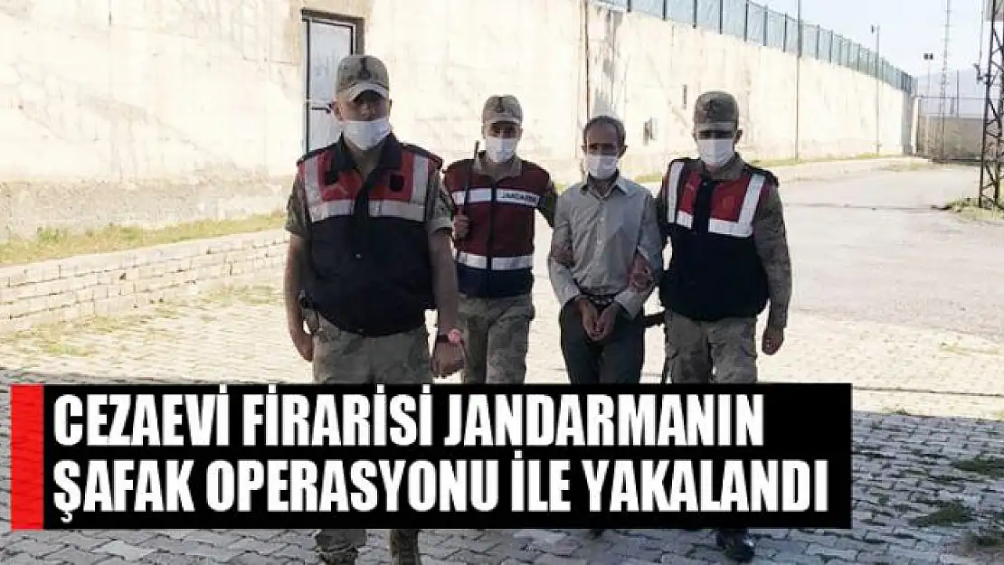 Cezaevi firarisi jandarmanın şafak operasyonu ile yakalandı