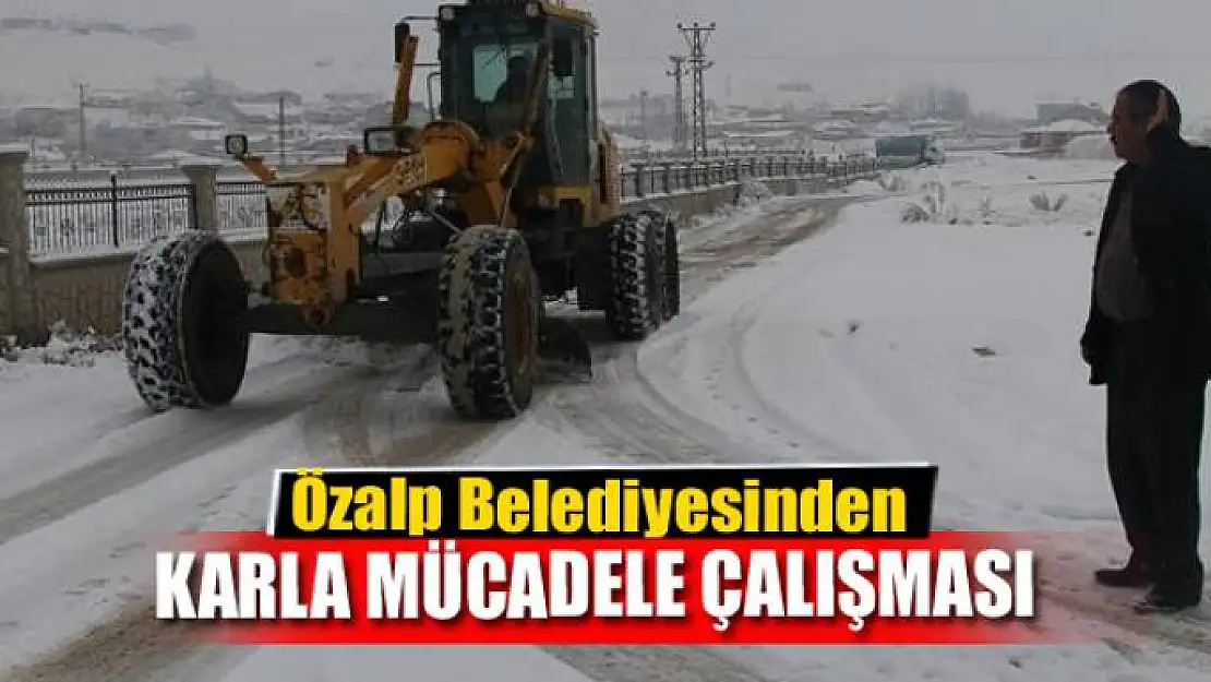 Özalp Belediyesinden karla mücadele çalışması 