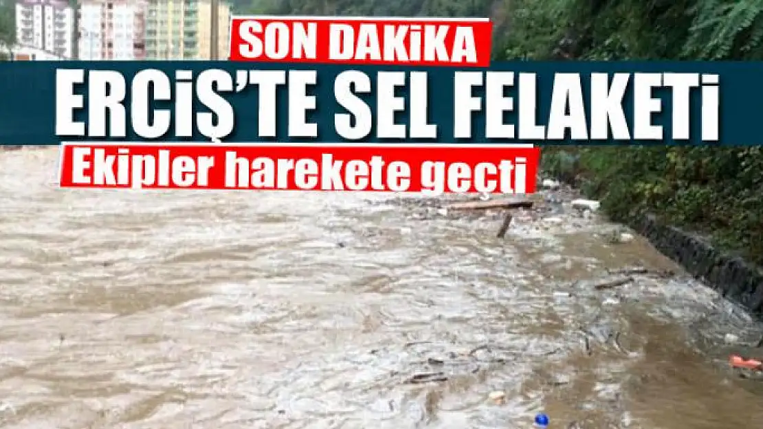 Erciş'te sel felaketi