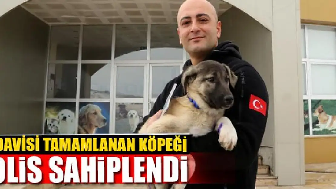 TEDAVİSİ TAMAMLANAN KÖPEĞİ POLİS SAHİPLENDİ