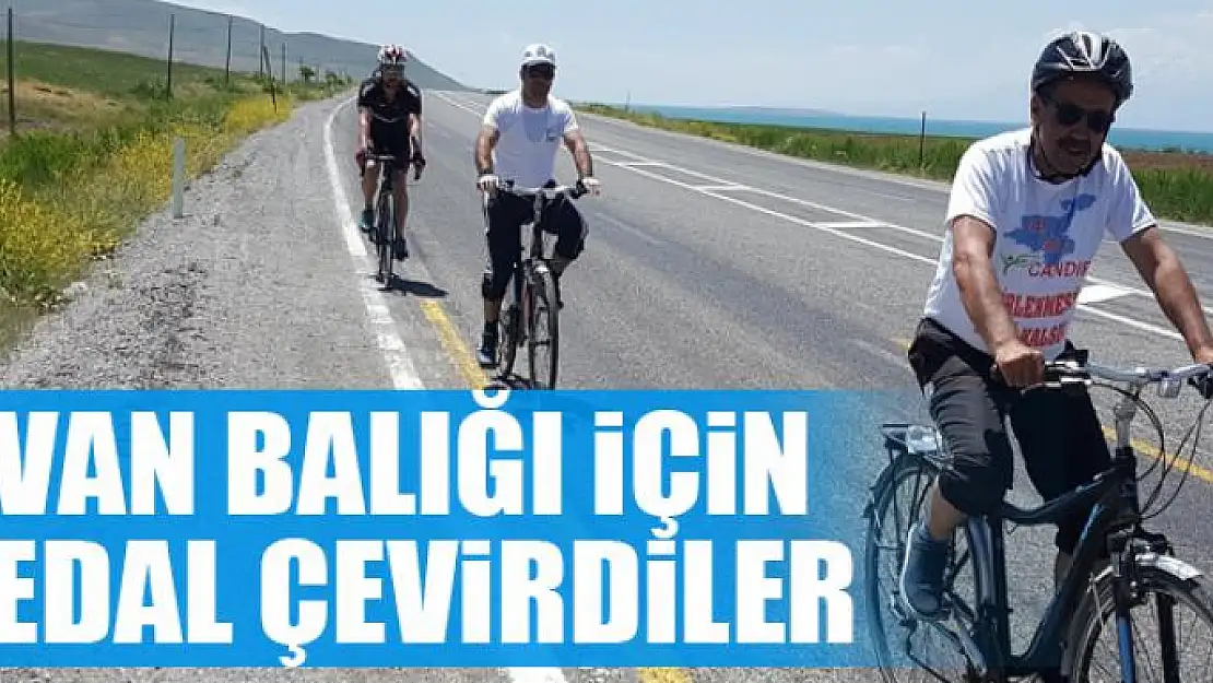  Van balığı için pedal çevirdiler