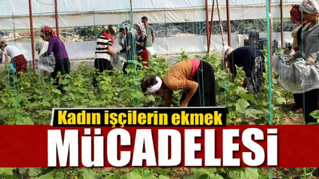 Kadın işçilerin ekmek mücadelesi