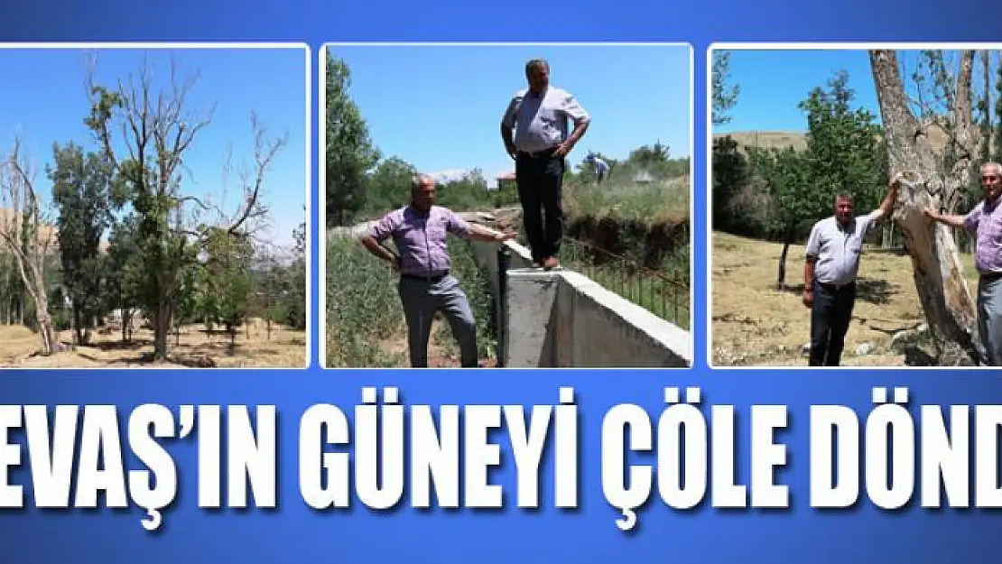 Gevaş'ın güneyi çöle döndü