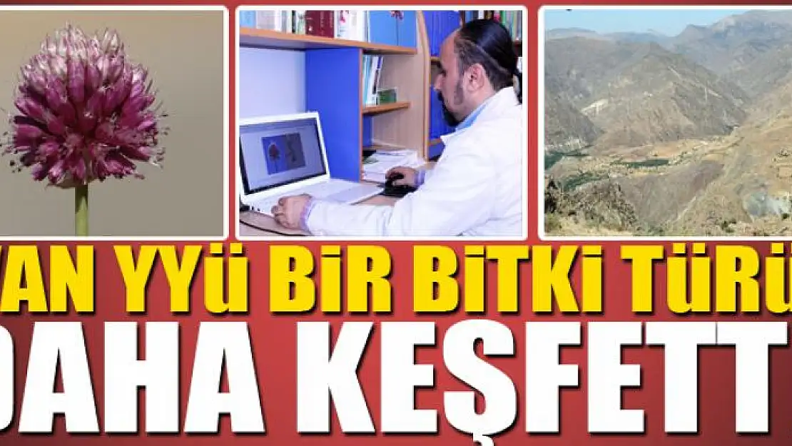 VAN YYÜ BİR BİTKİ TÜRÜ DAHA KEŞFETTİ