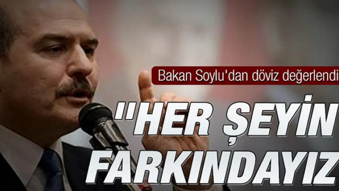 Bakan Soylu'dan döviz değerlendirmesi