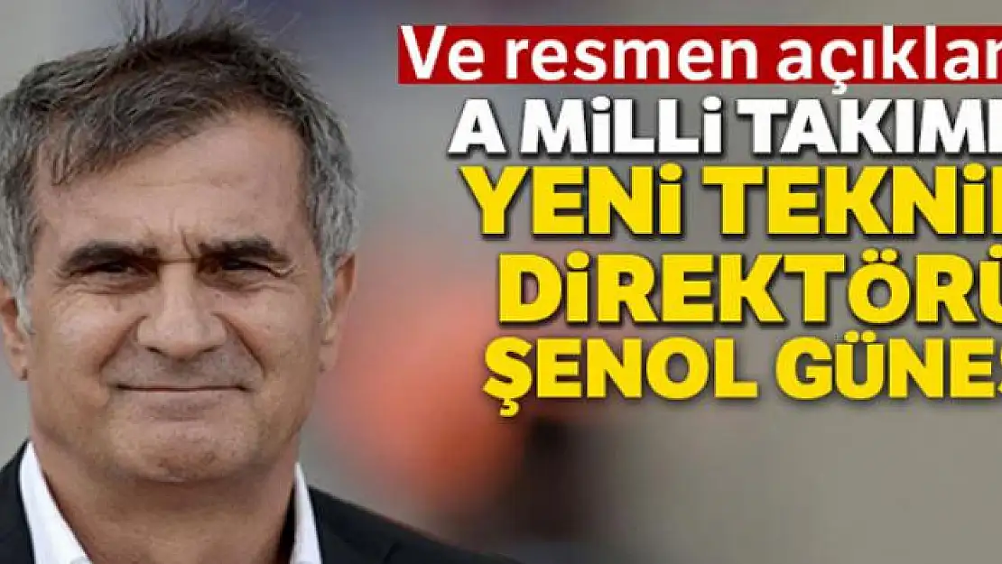 Şenol Güneş A Milli Takım'ın başına geçti