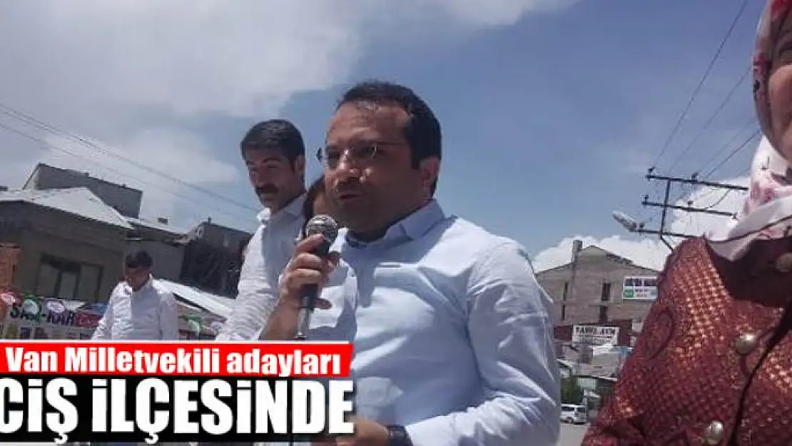 HDP Van Milletvekili adayları Erciş'te 