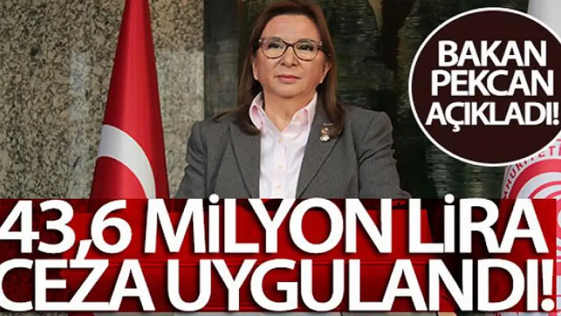 Bakan Pekcan açıkladı! O işletmelere 43,6 milyon lira ceza