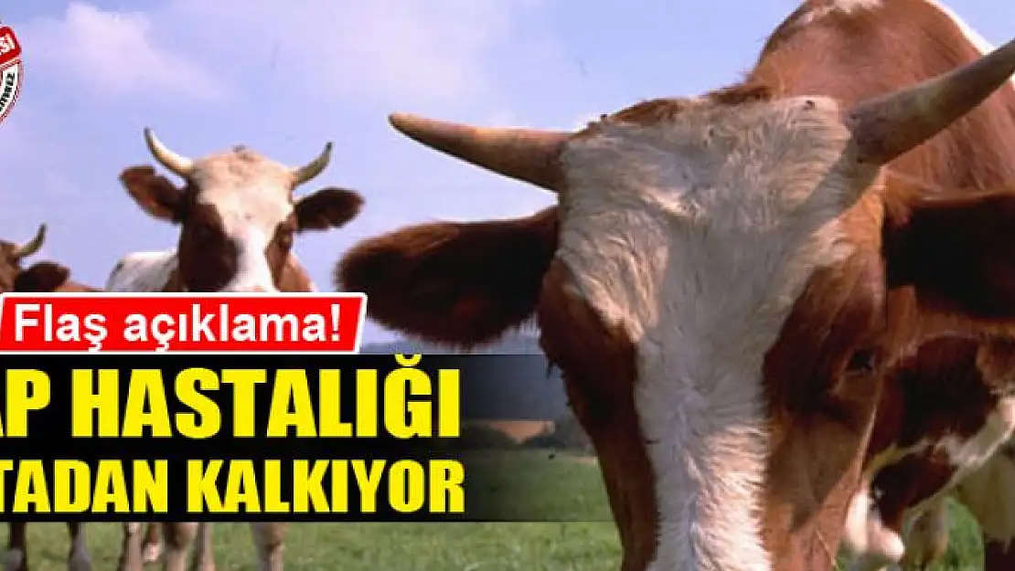 ŞAP HASTALIĞI ORTADAN KALKIYOR