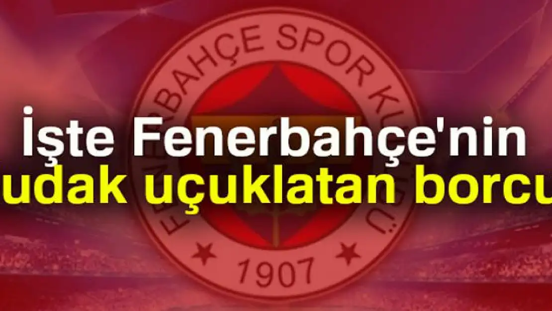 Fenerbahçe'nin borcu 311 milyon TL