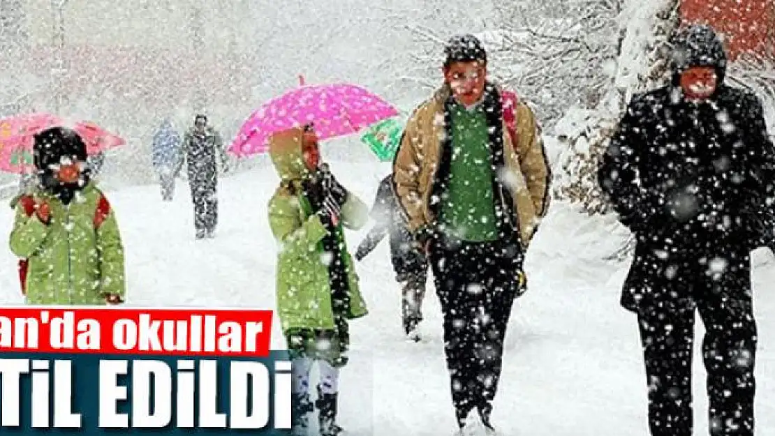 Van'da okullar tatil edildi