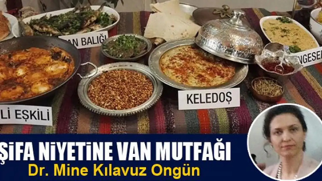 ŞİFA NİYETİNE VAN MUTFAĞI