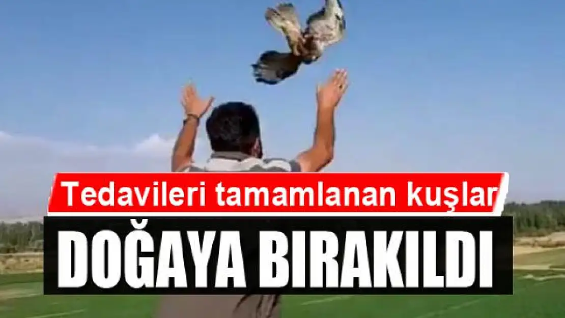 Tedavileri tamamlanan kuşlar doğaya bırakıldı